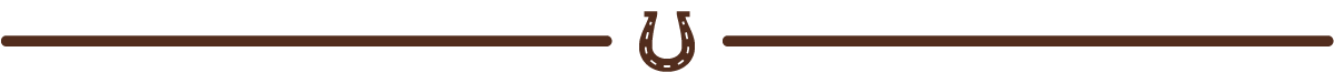 Picture of Horseshoe